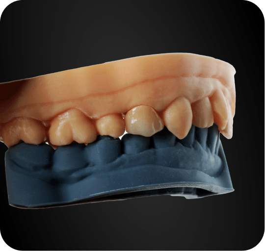 3d-working-model